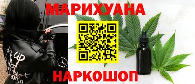 сатива Гатчина