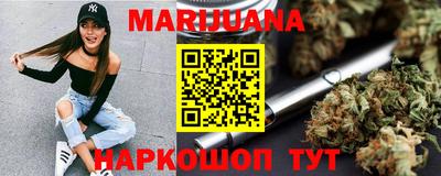 сатива Гатчина
