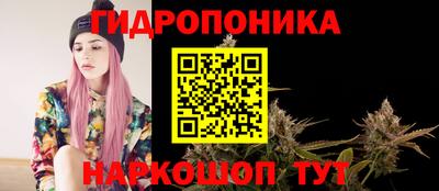 сатива Гатчина